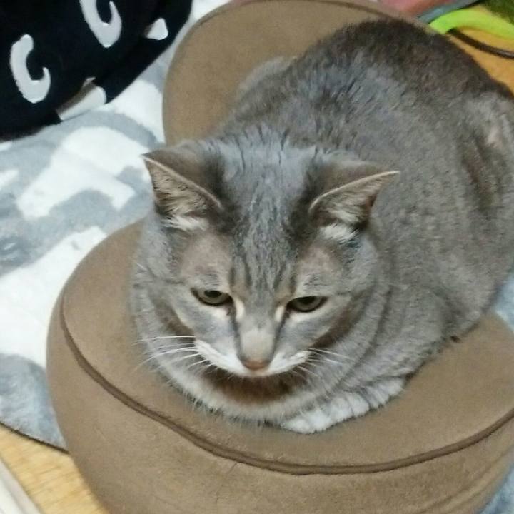 Affc7094 55e5 4cfe 89f9 7a44d91fe342 1552388509618