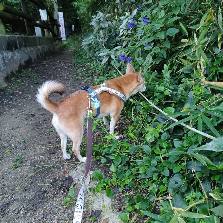 Affc72be ee61 46c8 a688 49ee74f487b6 1759877610166