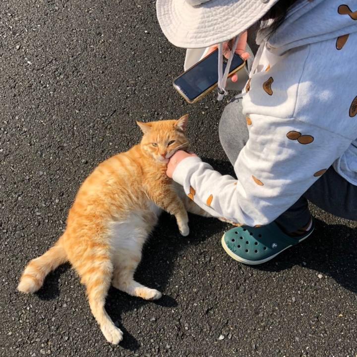 Affcb5f3 87dc 4508 a4a6 7132a4cbc3cf 1618708092147