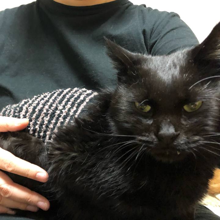 Affcc697 0130 4d67 96a4 0faee5f7a438 1636721006862