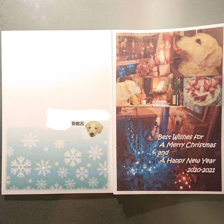 Affce07c 77cd 460d b710 7a15f64e21c1 1608383585797