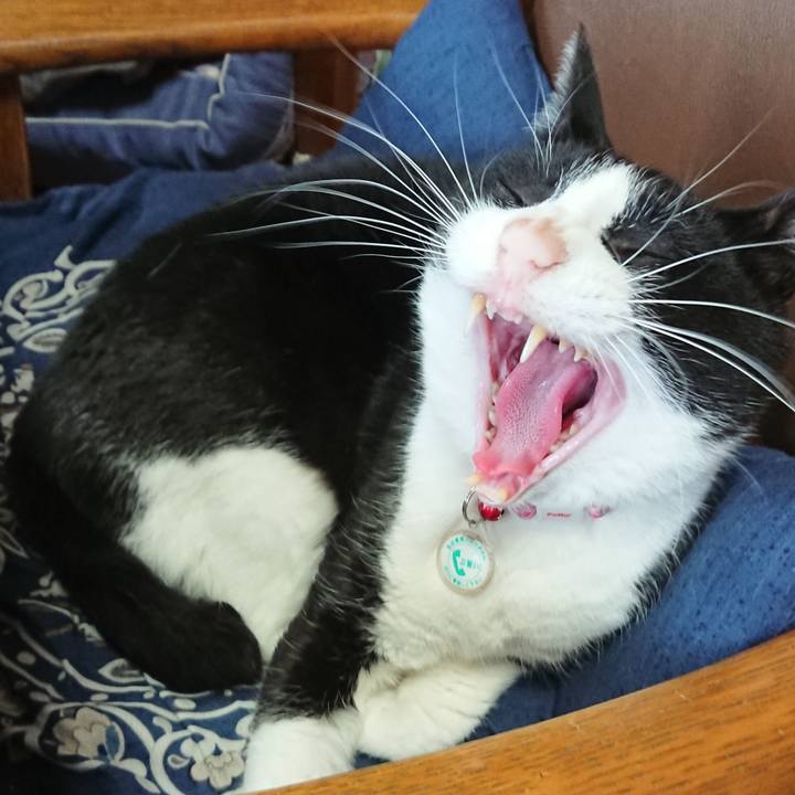 Affd268e e9a4 4350 aa54 2a59386d950b 1649463719217