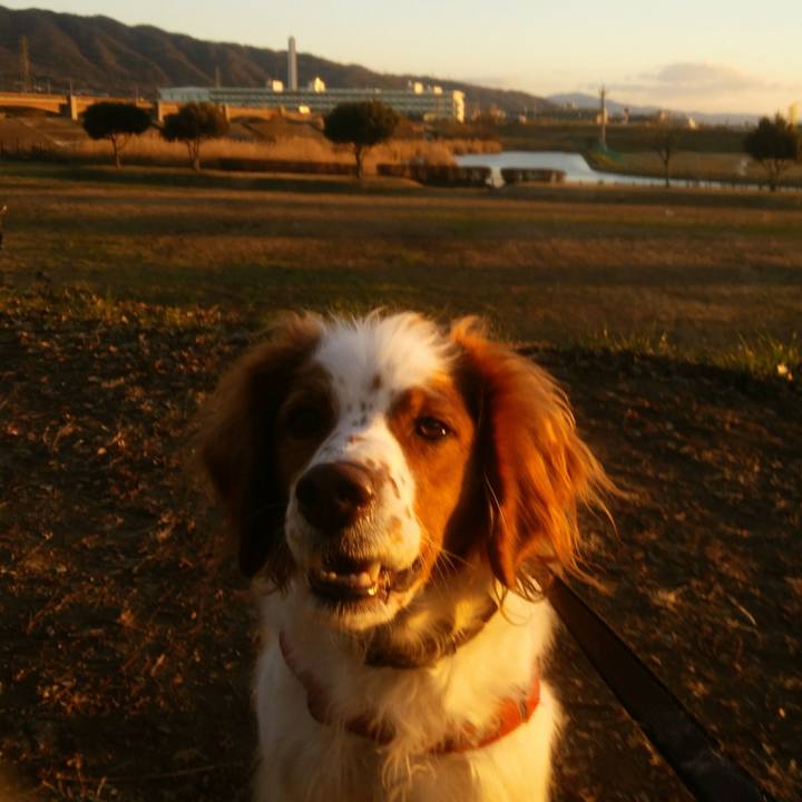 Affd85c1 c216 4b4d 883b 6d26fb0c6e27 1547471999574