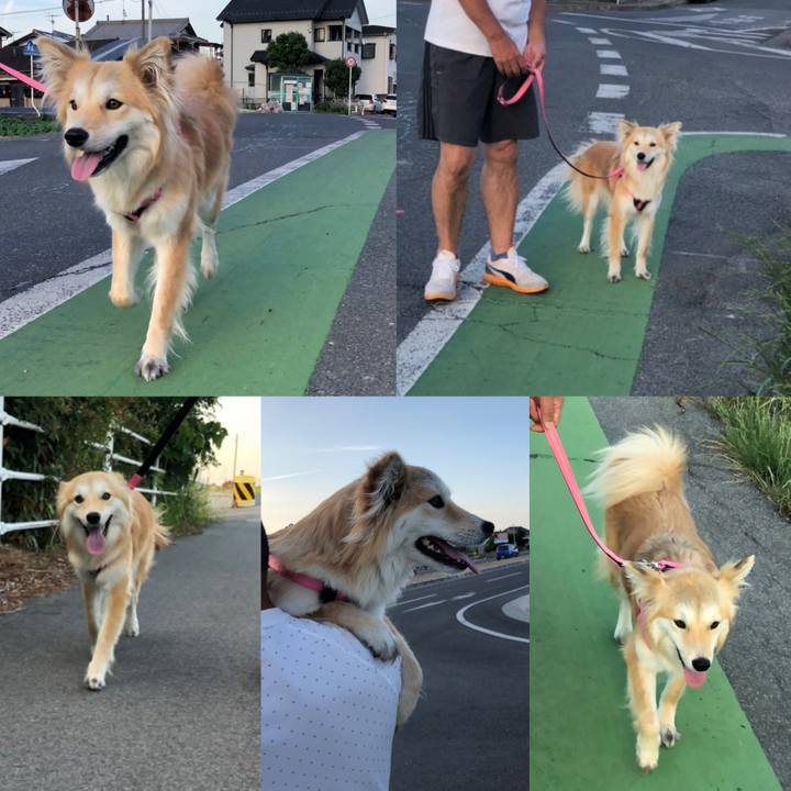 Affd863f a602 461c b976 59592332a2b9 1559562370763