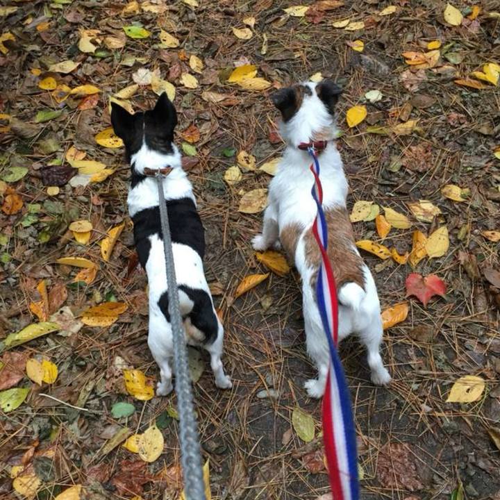 Affd9c8c d886 4c59 942c 5bb809238d4a 1701583079444