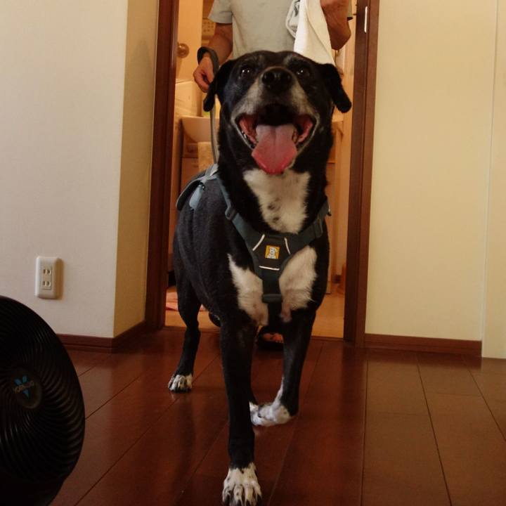 Affda08a 5755 493d bd08 68a5053deee8 1753355115503