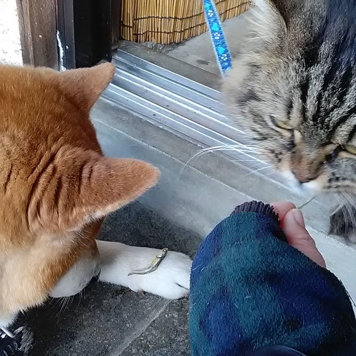 Affdacfa 23a5 49d2 b904 41c29f406ecb 1647164899650