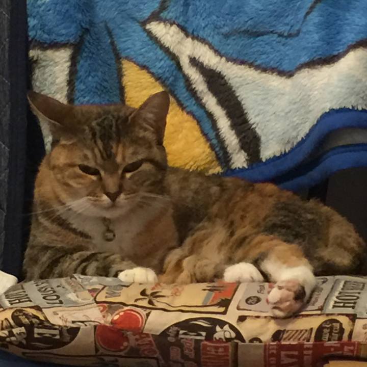 Affdb069 f414 47dd 9cc1 b14bf6234f18 1560084387770