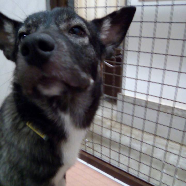 Affdcb95 5b7d 45e7 838c d4f7115c5c07 1521897340960