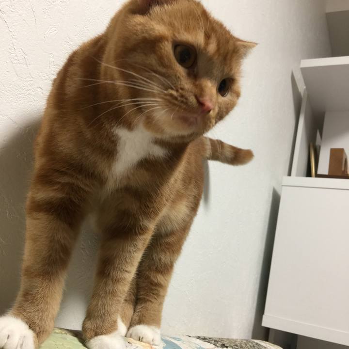 Affdd9a1 f9bb 400f 9ef5 7fa908e3199f 1512791594645