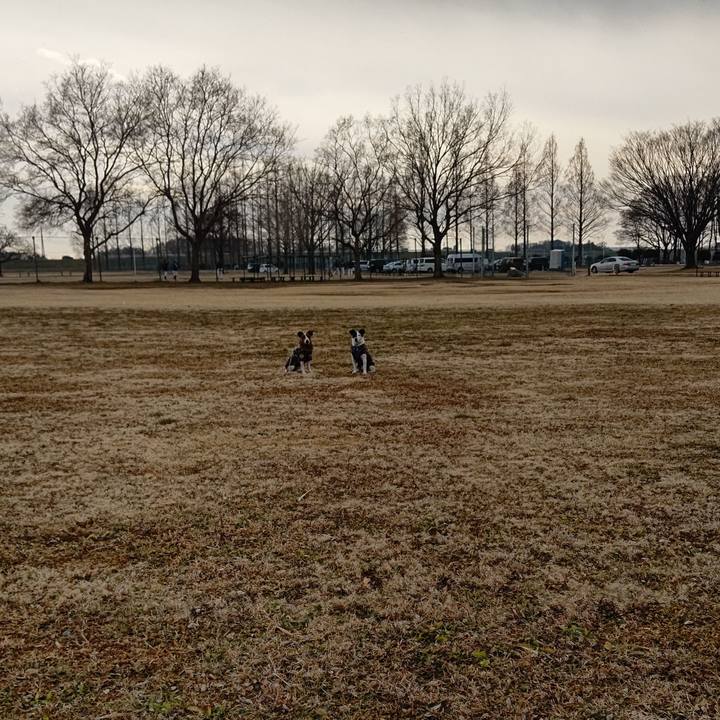 Affe0d95 d878 4a05 a356 59445b5ebc59 1676787909375