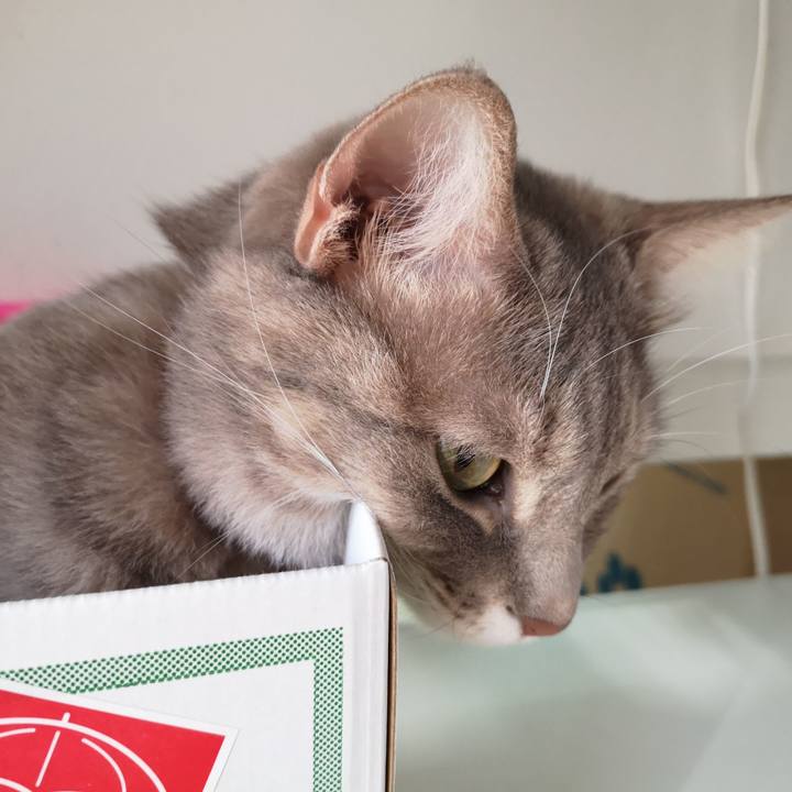 Affe3eca 7e47 4808 b899 606cce266ad4 1576482733322