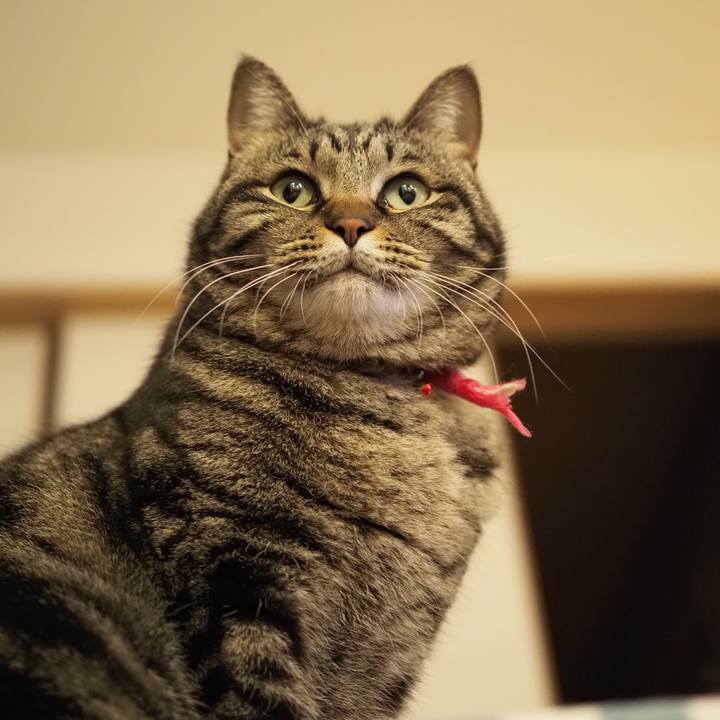 Affe5ac8 d691 4b31 a0d5 cfcd21863abe 1619078768687