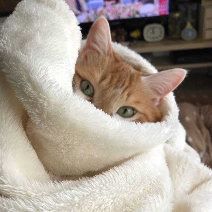 Affe70ae 0a0e 4ae8 ac9e 7ea2fa1cbdc3 1525996792282