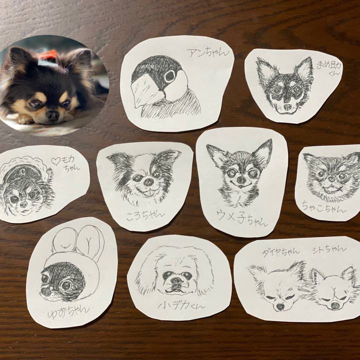 Affea5b4 90f0 4248 96cc 9bcd2b6617ae 1612084837688