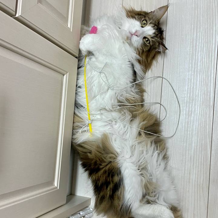 Affeaff6 e9cf 4444 bbac f6afdf15f684 1675632705107