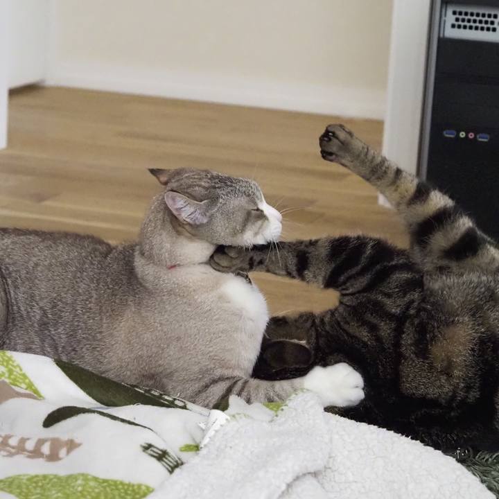 Affec1c5 0784 41aa 86ad 68353df3c85b 1620017646103