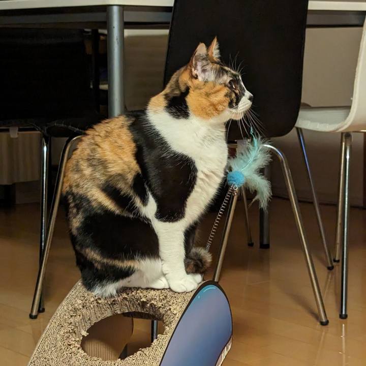 Afff0062 2f2a 4a35 acc4 2c83f6669201 1709869305591