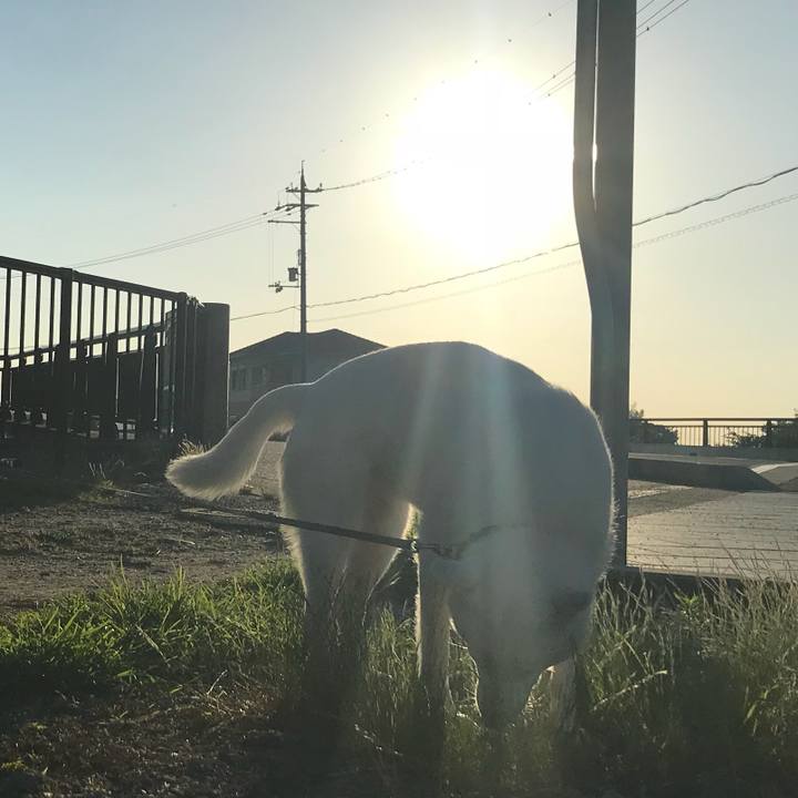 Afff0310 1b10 4ee9 9645 3451afdd0711 1529155960631