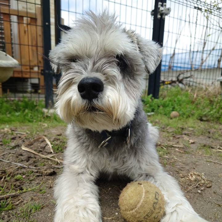 Afff36e8 b4f9 4c7e afee 9fae66285f28 1776328473763