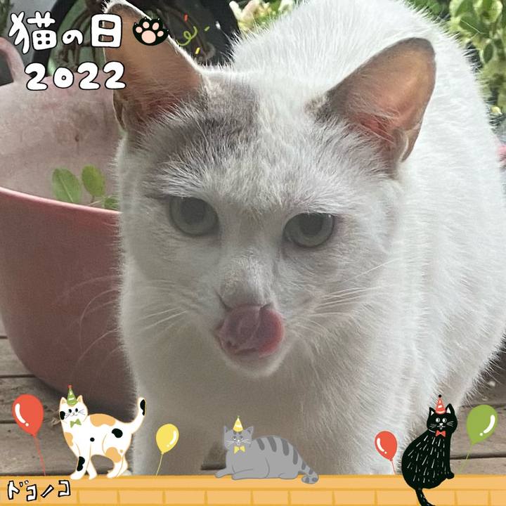 Afff3a13 c454 4641 a1d4 82c4242cf39b 1645527375646