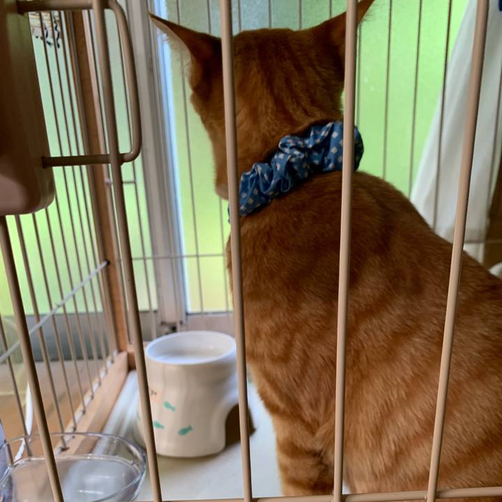 Afff9249 07ce 4839 8ea2 3d2e66d47478 1690844306779