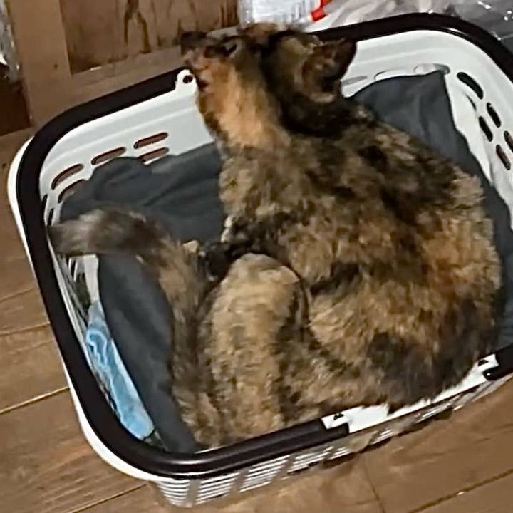 B00025aa 1dfd 4bf7 a265 3caada794905 1736972156929