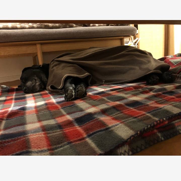 B0002fc9 b3c2 41b5 a15d f0ca23b1e706 1577627355864