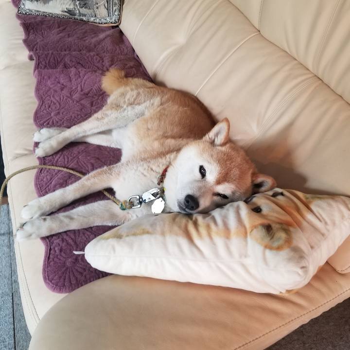 B00048bd c247 4bf4 ba15 36443085e76d 1688093655626