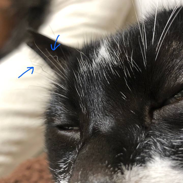 B0006b74 b73c 4718 9310 91b29fc19037 1633785631476