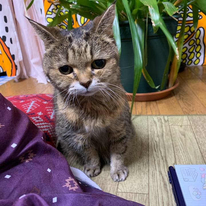 B0007768 b9ff 4348 b5bb 8348a4321974 1573951422642