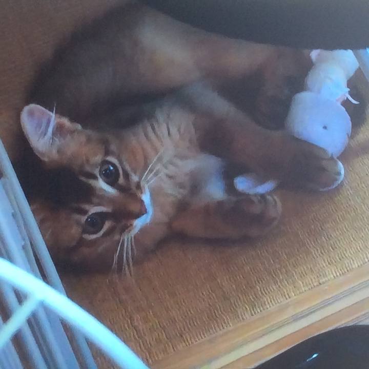 B0008077 6802 46a4 a777 489add4165a7 1618967113844