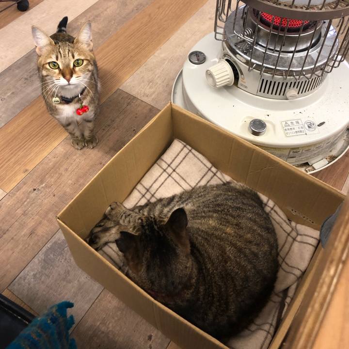 B0008307 3e54 45ba 9267 677bcda12b35 1609993324887