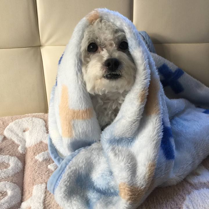 B000a7de 28be 43eb 9ed4 d76fa9dafc16 1542668381463