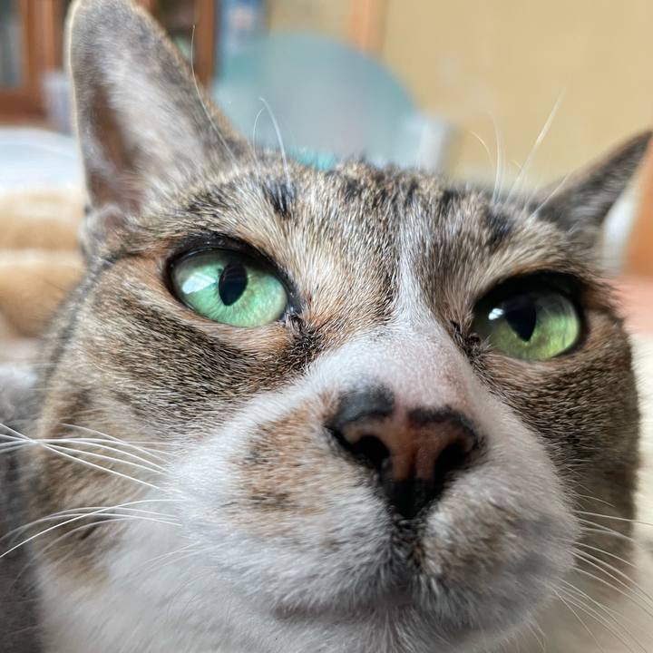 B000a9e4 8eee 4db0 af0f 640c565d07fe 1650073493063