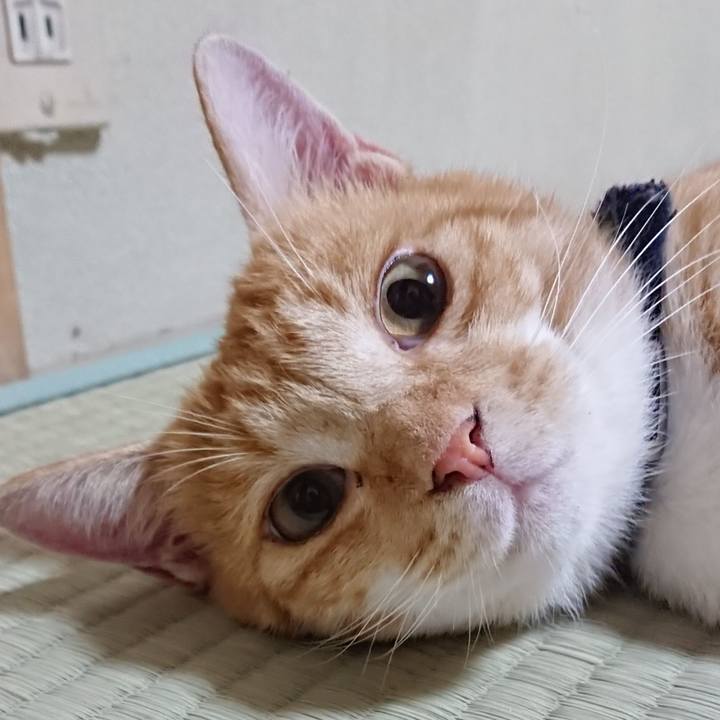 B000c5ea 5269 42fc a730 d09e2c898356 1565352877393