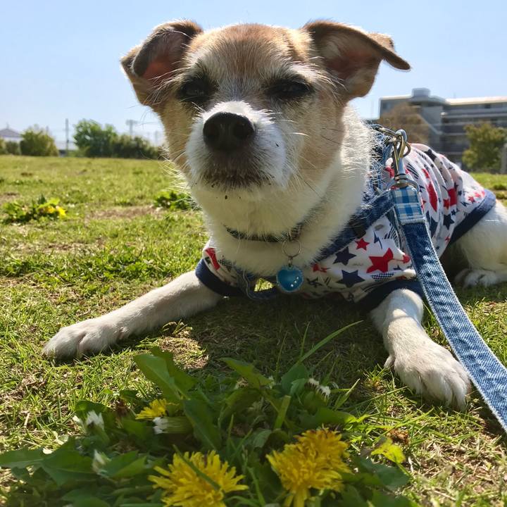 B0011ef9 a2f9 4f3f bc2f a75c98726816 1618974326961