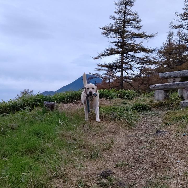 B0014b05 a521 42fa ae40 2871e0b66dc3 1664787455356