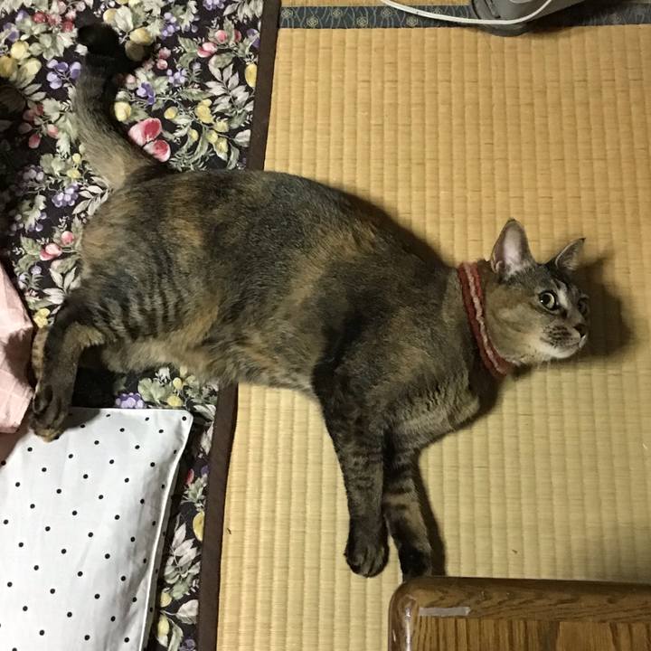 B0018834 a2a7 4139 b726 a23b1c904554 1636279100221