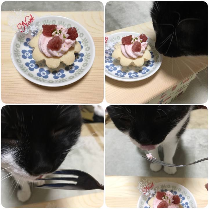 B001a625 b8ba 4dc9 935d e435715b508d 1514212045604