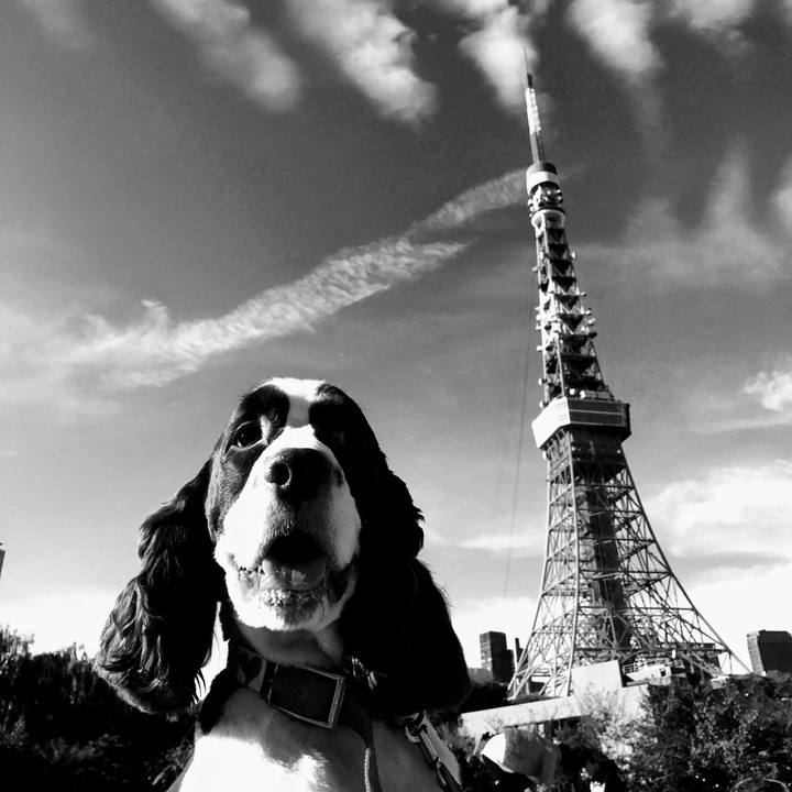 B001c13e 0ccd 4a68 b95b f8d1d87a81e3 1512102704970