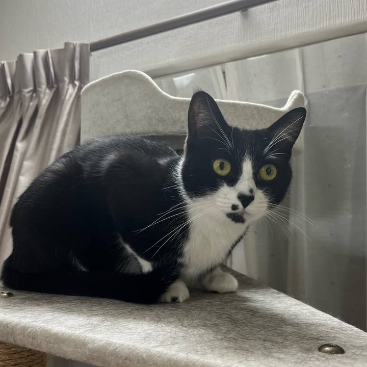 B001d190 c119 48e5 a847 43512691bf95 1716383526563