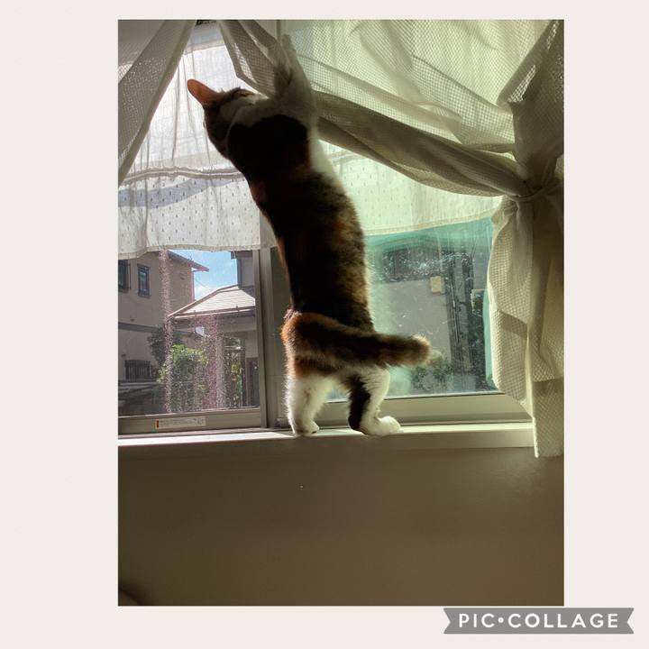 B001dfa8 3e50 4c75 aa58 eedbc34b5ed5 1665989526424