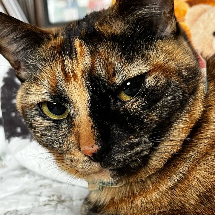 B001ec3e 9a86 42af a083 9e16e263bcab 1716673773906