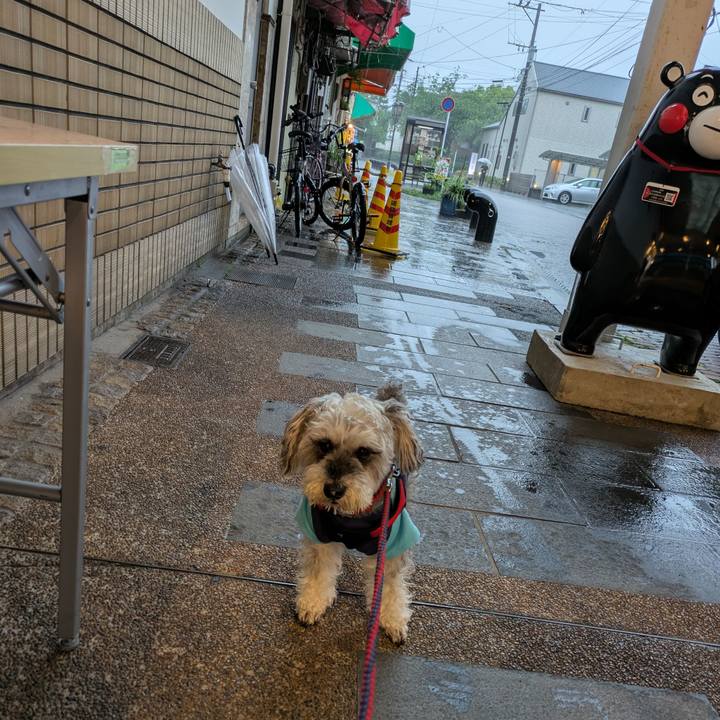 B0020527 7849 4e7c b44a e8b5cd245289 1747828844772