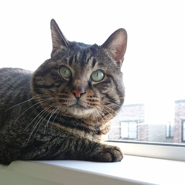 B00238a7 916b 4ae3 aedc 8bca54a54683 1550377075842