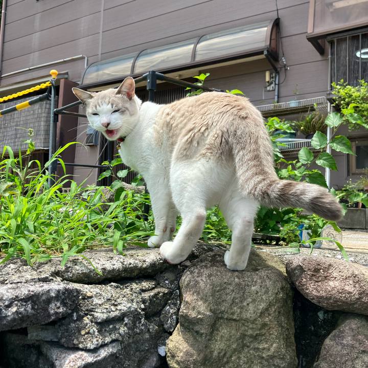 B002527b 9708 449f b174 d345924c7201 1764110858162