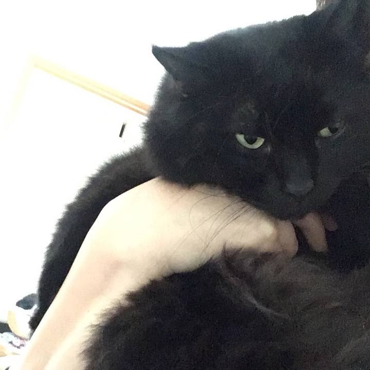 B0025f17 996b 4549 9d6b b0d13e1fd90d 1536562727505