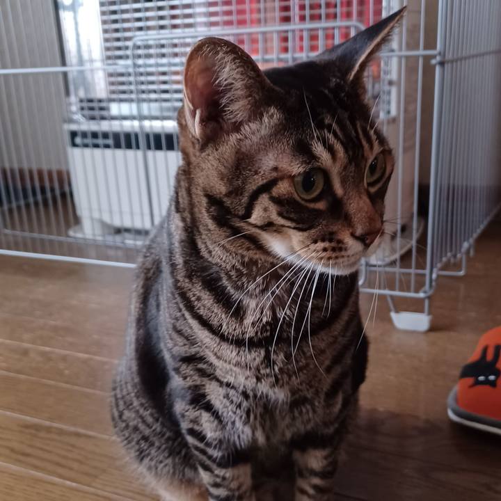 B002737f 99f6 406a 82c7 6a27957632aa 1671849794536