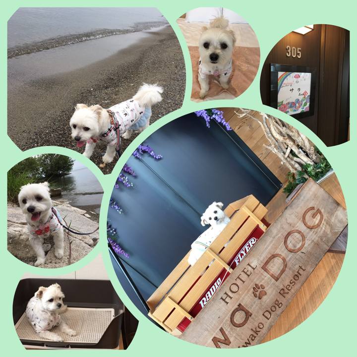 B002a645 3699 4bdf 9828 621aa41270d8 1561538424497